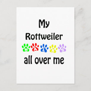 Cartão Postal Rottweiler Walks Design