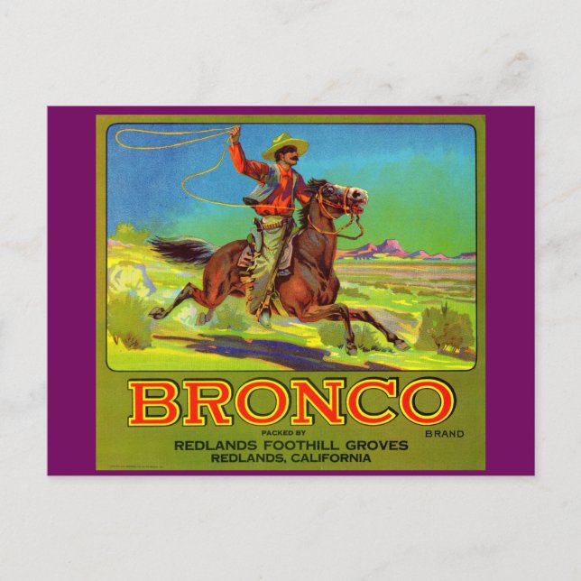 Cartão Postal Rótulo da caixa de fruta do Bronco 1920 (Frente)