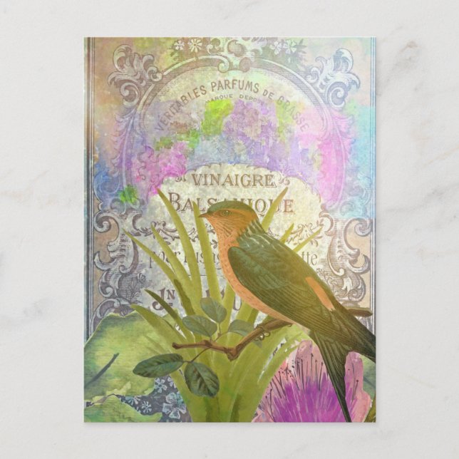 Cartão Postal Rótulo de Perfume de Colagem de Ave Francês Vintag (Frente)