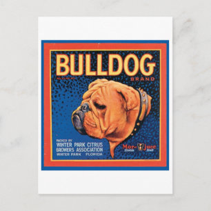 Cartão Postal Rótulo de Taxa de Marca do Vintage Bulldog