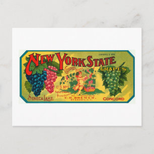 Cartão Postal Rótulo de vintage do Anúncio de Uvas do Estado d