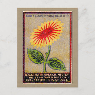 Cartão Postal Rótulo Vintage Sunflower Match