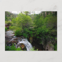 Cartão Postal Roughlock Falls, Dakota do Sul