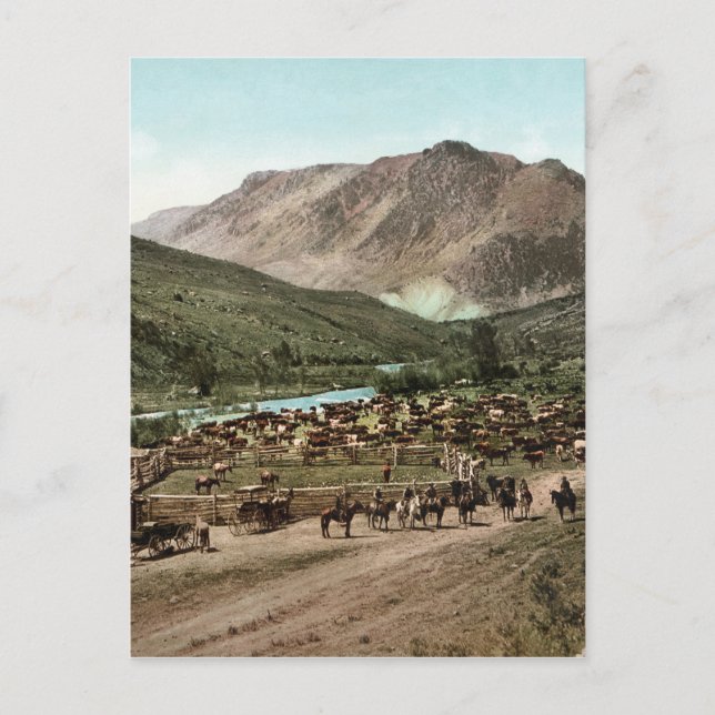 Cartão Postal Round Up (Colorado, 1898) (Frente)