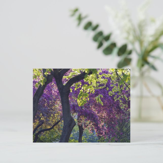 Cartão Postal Roxo  (Em pé/Frente)