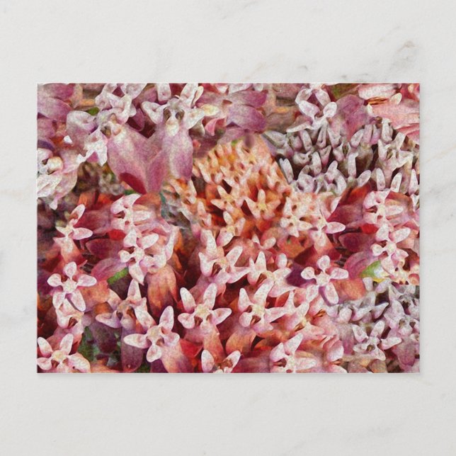 Cartão Postal Roxo (Frente)