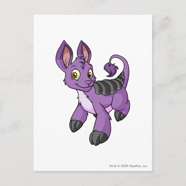 Cartão Postal Roxo de Bori (Frente)