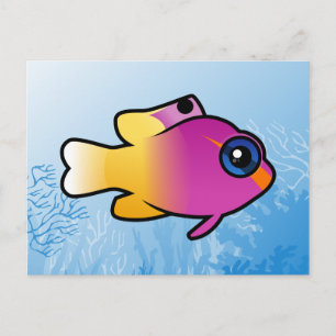 Cartão Postal Royal Gramma