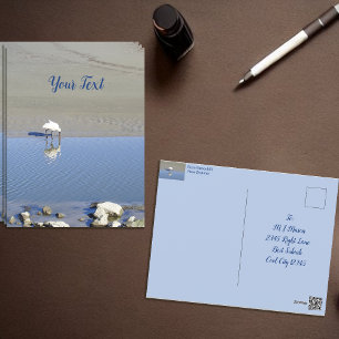 Cartão Postal Royal Spoonbill Bird Personalizado
