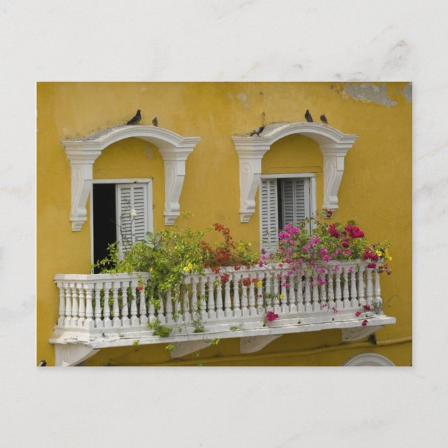 Cartão Postal Rua Cartagena (Frente)