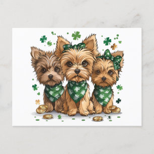 Cartão Postal Rua, dia de Patrick Yorkshire Terrier Dogs