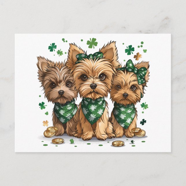 Cartão Postal Rua, dia de Patrick Yorkshire Terrier Dogs (Frente)