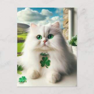 Cartão Postal Rua. Dia dos Patricinhos Gato Branco Fluffy Olhos