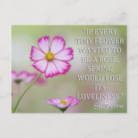 RUA DO LISIEUX, SE CADA FLORESTA PEQUENA QUISER