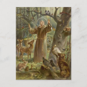 Cartão Postal Rua. Francis de Assisi cercado por Animais
