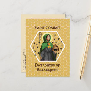 Cartão Postal Rua. Ganho de Ballyvourney (SAE 003)