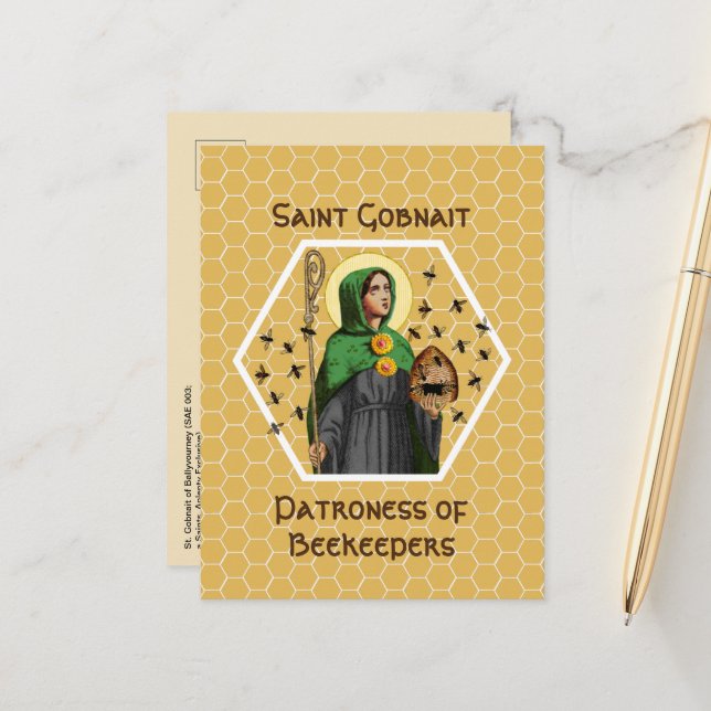 Cartão Postal Rua. Ganho de Ballyvourney (SAE 003) (Frente/Verso In Situ)