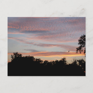 Cartão Postal Rua Louis Sunset