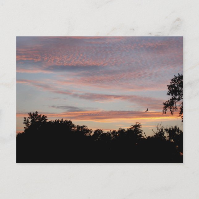 Cartão Postal Rua Louis Sunset (Frente)