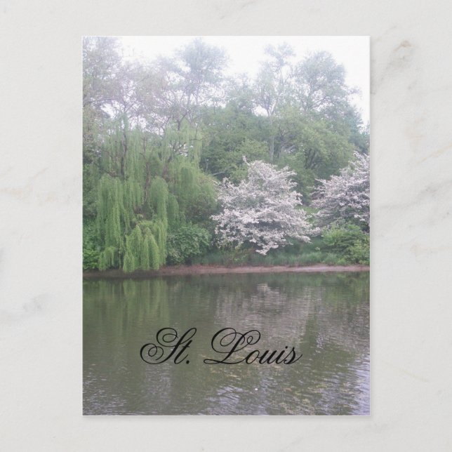 Cartão Postal Rua. louis zoo (Frente)