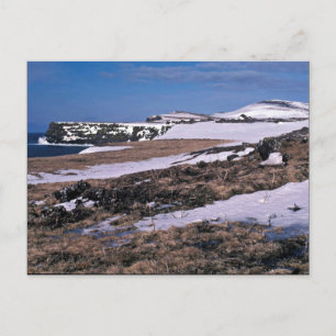 Cartão Postal Rua. Paul Island Bird cliffs, sudoeste Point
