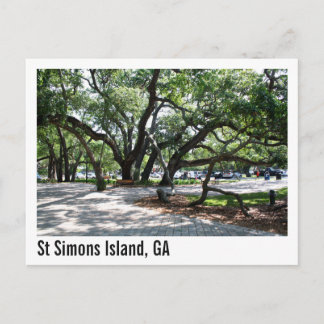 Cartão Postal Rua Simons GA Wandering Oak Tree