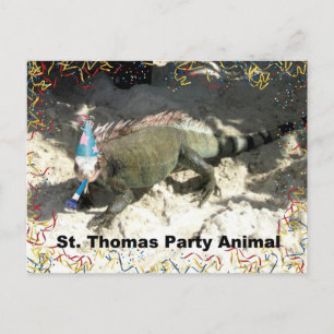 Cartão Postal Rua, Thomas Party Animal!