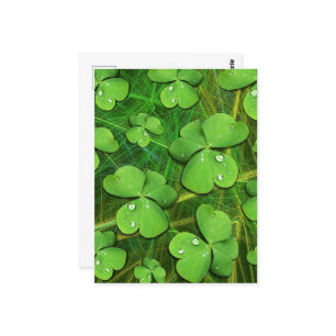 Cartão Postal Rua Verde Shamrock iPhone 5 Case-Mate de Patrick