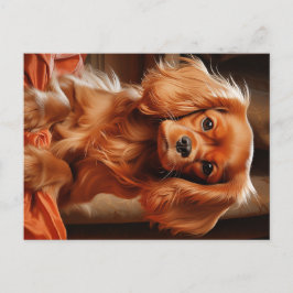 Cartão Postal Ruby Cavalier King Charles Spaniel