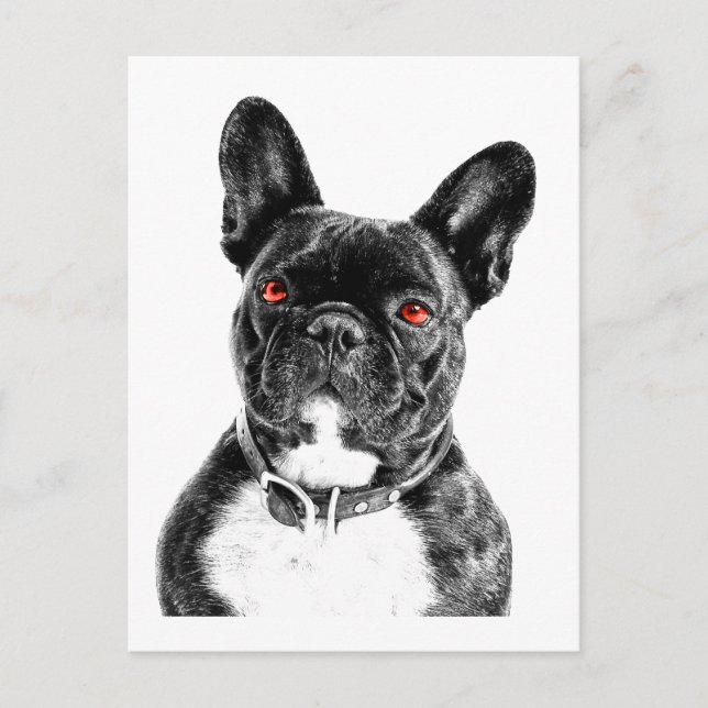 Cartão Postal Ruby Eyed French Bulldog Portrait (Frente)