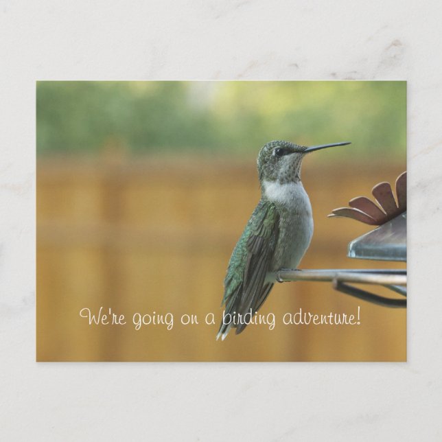 Cartão Postal Ruby Throated Hummingbird (Frente)