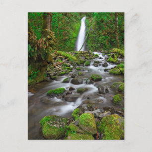 Cartão Postal Ruckel Creek Falls, Columbia River Gorge Oregon
