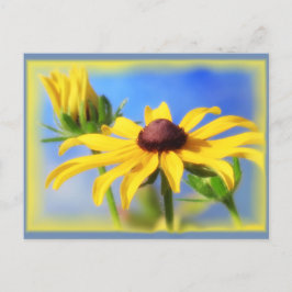 Cartão Postal Rudbeckia Blues - Vignette