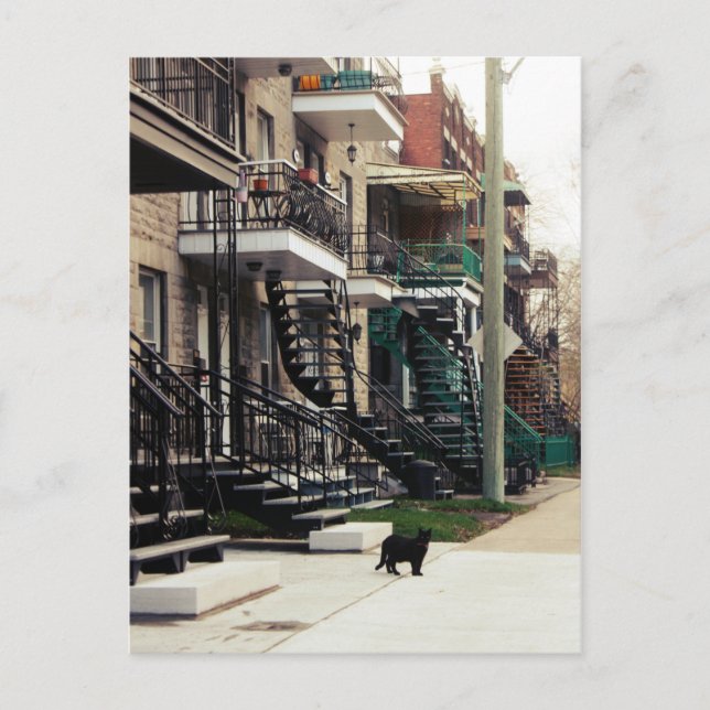 Cartão Postal Rue la fontaine (Frente)