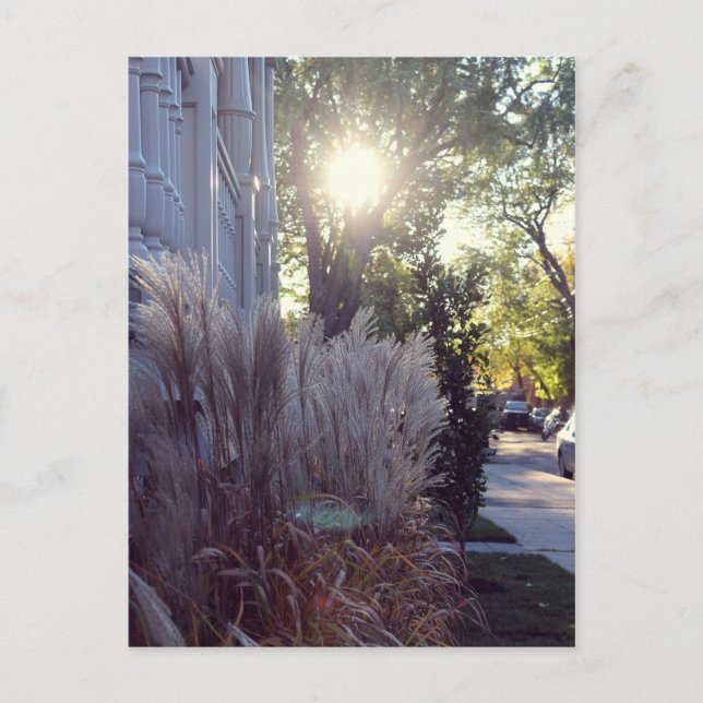 Cartão Postal Rue Théodore (Frente)