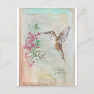 Cartão Postal Rufous Hummingbird