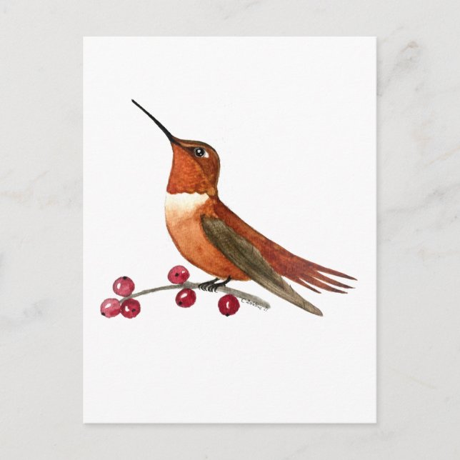 Cartão Postal Rufous Hummingbird (Frente)