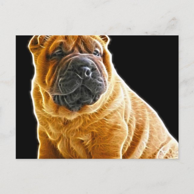 Cartão Postal Rugas, O Cachorro Chinês Shar Pei Puppy (Frente)