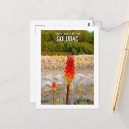 Cartão Postal Ruínas Históricas de Flor Silvestre Personalizado