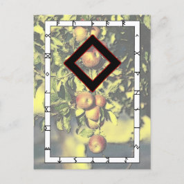 Cartão Postal Rune Ingwaz - Cartão-postal Herói