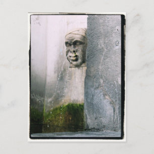 Cartão Postal Runny Nose?   Fonte em Verona, Itália