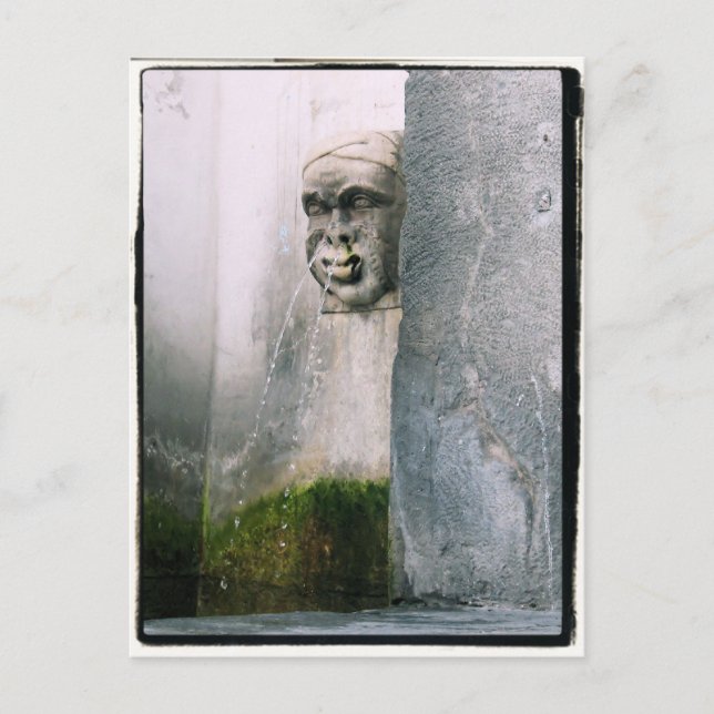 Cartão Postal Runny Nose?   Fonte em Verona, Itália (Frente)