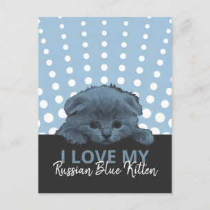 Cartão Postal Russo Blue Kitten
