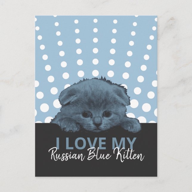 Cartão Postal Russo Blue Kitten (Frente)