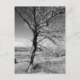 Cartão Postal Rústico