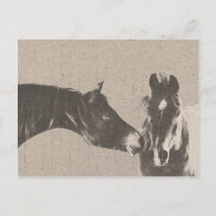 Cartão Postal Rústico Cabeça de Cavalo