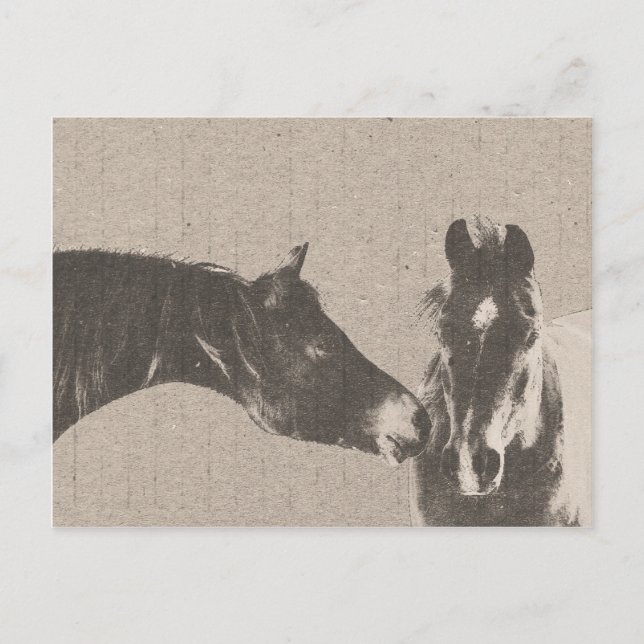Cartão Postal Rústico Cabeça de Cavalo (Frente)