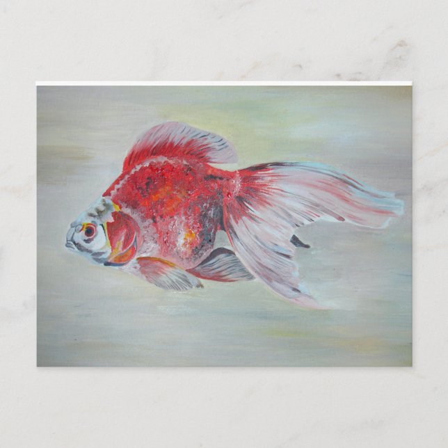Cartão Postal Ryukin Goldfish (Frente)