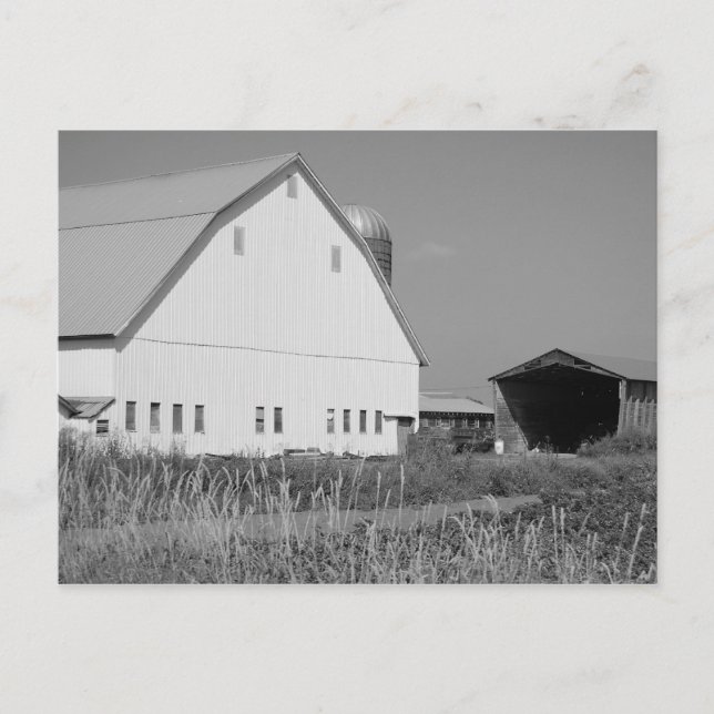 Cartão Postal s3 (Frente)