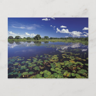 Cartão Postal S.A., Brasil, Vias navegáveis no Pantanal